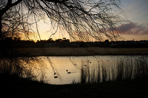 Radipole Lake Sunset